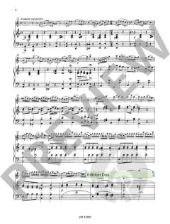 Salût à la Russie op. 496 - 499 