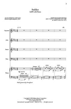 Suliko von Brent Wells 