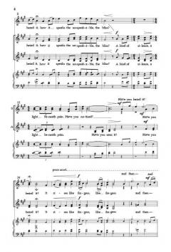 Threads of Joy von Tim Brent/Amanda Quist 