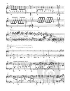 Totentanz von Franz Liszt 