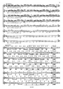 Kotekan von Wil Offermans 