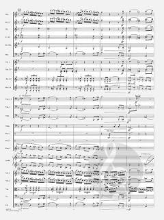 The Lord of the Rings for Orchestra von Johan de Meij im Alle Noten Shop kaufen (Partitur)