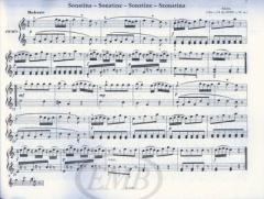 Let Us Play Together 1 