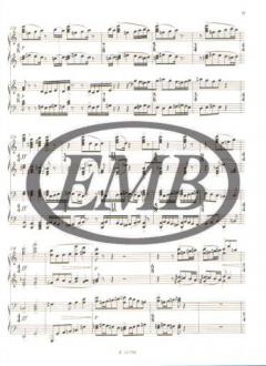 Musica Optica von György Geszler 