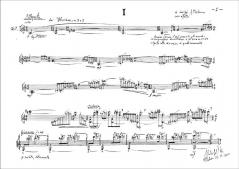 Le Sei Corde Di Nicolò von Alessandro Solbiati 