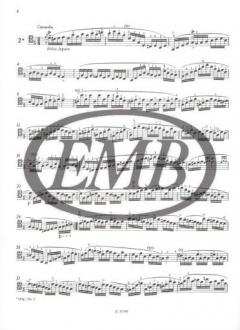 6 Caprices von Pierre Rode 