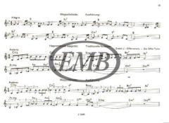 Improvisations in Dance Music von Tibor Csepei 