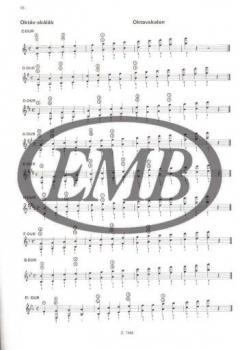 Jazz-Guitar Tutor 2 von Tibor Csepei 