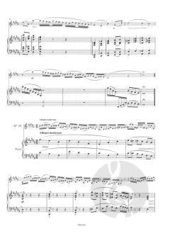 32 Etudes D'apres Ferling von Cyrille Rose 