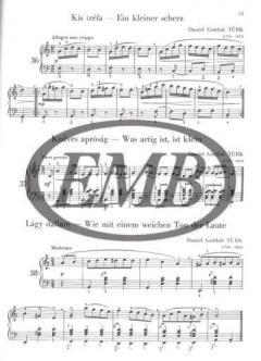 The Young Accordionist 1 