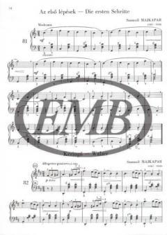 The Young Accordionist 1 