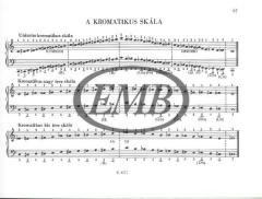 Scale Studies von Lörincz Albert 