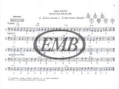 Melodious Bass-Etudes von Gabor Vas 