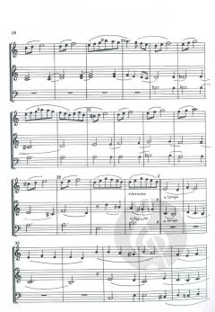 Summer-Suite von John Gould 