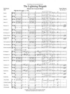 The Lightning Brigade von James Barnes 