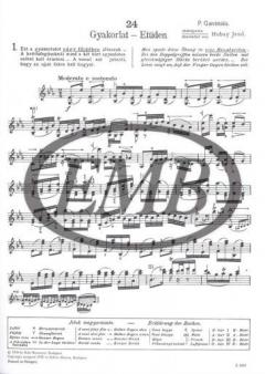 24 Matinées von Pierre Gaviniès 