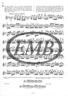 24 Matinées von Pierre Gaviniès 