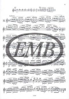 42 Etüden (Capricen) von Rodolphe Kreutzer 