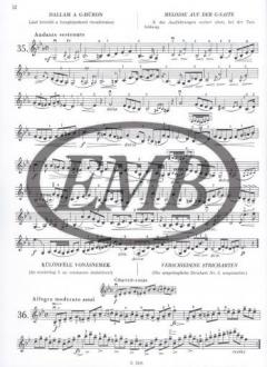 Etudes brillantes 2 op. 36 von Jacques-Féréol Mazas 