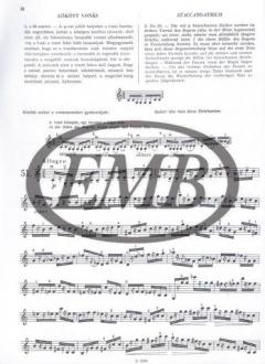 Etudes brillantes 2 op. 36 von Jacques-Féréol Mazas 