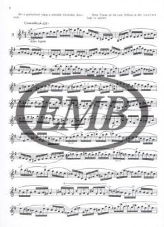 24 Caprices von György Garay 