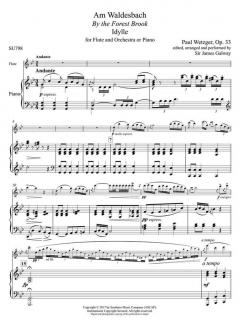 By the Forest Brook Am Waldesbach, Op. 33 von Paul Wetzger 