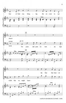 A King in Swaddling Clothes von Brad Nix 