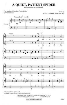 A Quiet, Patient Spider von Steve Kupferschmid 