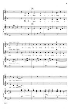 A Quiet, Patient Spider von Steve Kupferschmid 