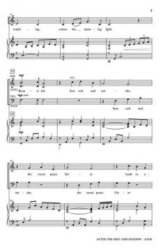 After the Mist and Shadow von Patricia Mock 