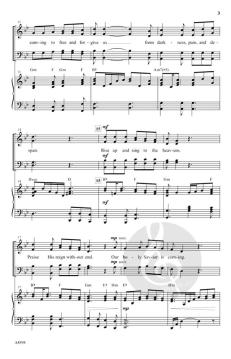 An Advent Awakening von Vicki Tucker Courtney 