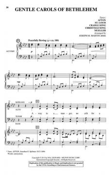 Appalachian Winter von Joseph M. Martin 