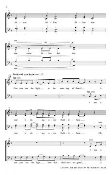 Can You See the Light in Bethlehem? von David Angerman 