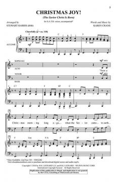 Christmas Joy! (The Savior Christ Is Born) von Karen Crane 