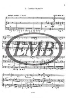 Partita von Paul Kadosa 