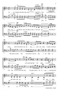 Danny Boy von Russell L. Robinson 