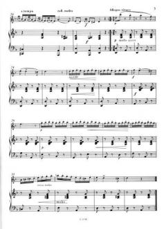 Czardas von Vittorio Monti 