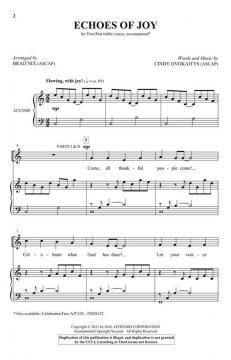 Echoes of Joy von Cindy Ovokaitys 