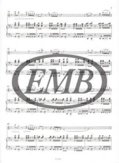 Caprice Basque von Pablo de Sarasate 