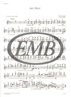 Am Meer von Franz Schubert 