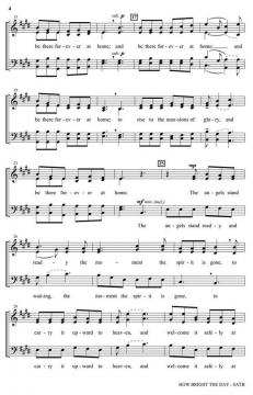 How Bright Is the Day 