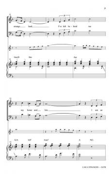 I Am A Stranger von Ken Medema 