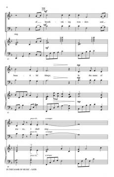 In the Name of Music von Victor C. Johnson 