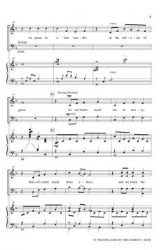 In the Stillness of this Moment von David Angerman 