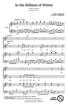 In the Stillness of Winter von Victor C. Johnson 