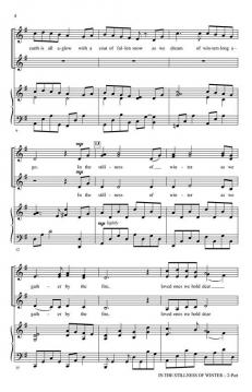 In the Stillness of Winter von Victor C. Johnson 