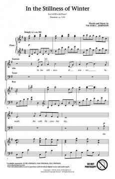 In the Stillness of Winter von Victor C. Johnson 