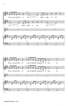 Jasmine Flower (Mo Li Hua) von Mary Donnelly 