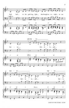 Light of the Stable von Steve Rhymer/Elizabeth Rhymer 