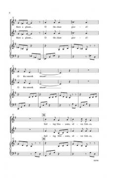 Looking Glass River von Janet Gardner 